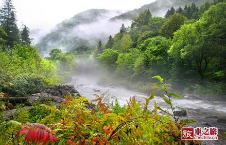 长白天气预报10天查询