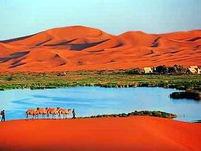 神池天气预报30天查询,神池县一个月天气