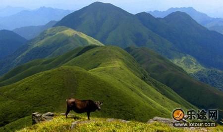 上犹天气预报30天查询,上犹县一个月天气