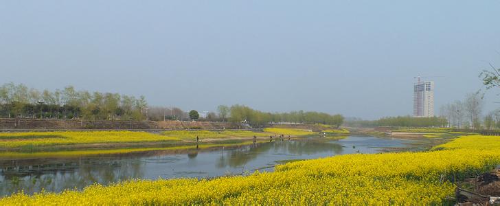 新野pm2.5实时查询,新野县空气质量指数查询