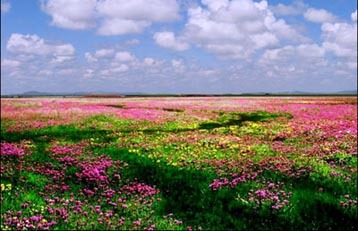 台湾湖山原野乐园天气