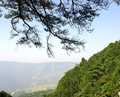 太原天龙八景天气