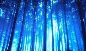 长治五顶山国家森林公园天气 长治五顶山国家森林公园天气