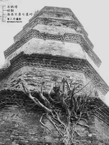 海口文昌斗柄塔天气 海口文昌斗柄塔天气