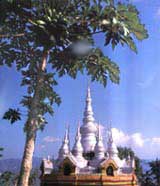 德宏民族风情浏览区天气 德宏民族风情浏览区天气